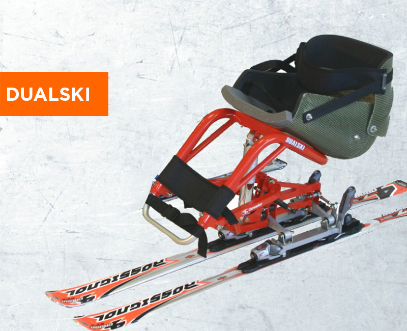 Dualski