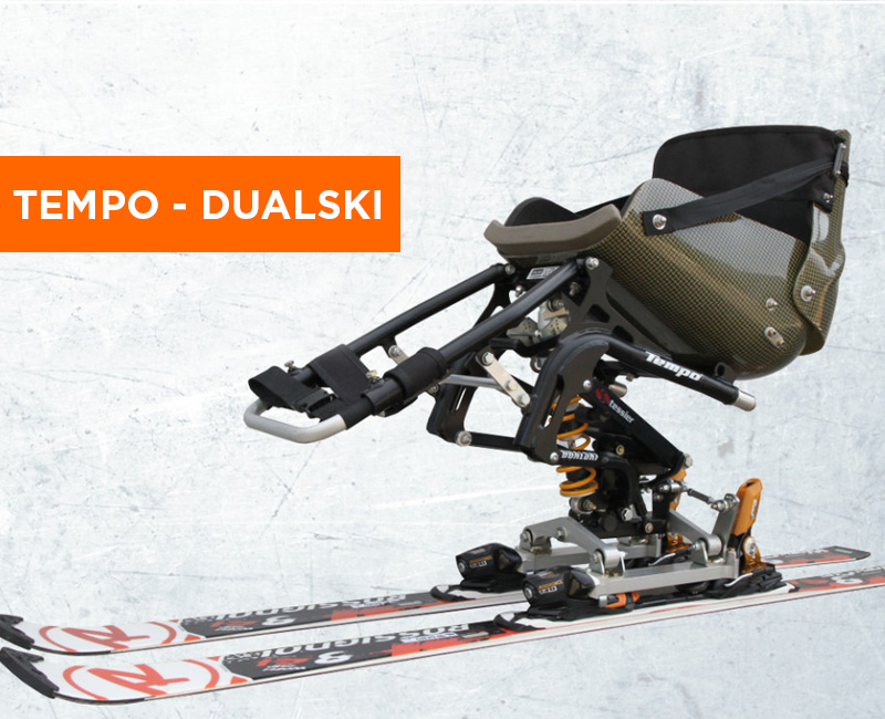 Tempo dualski